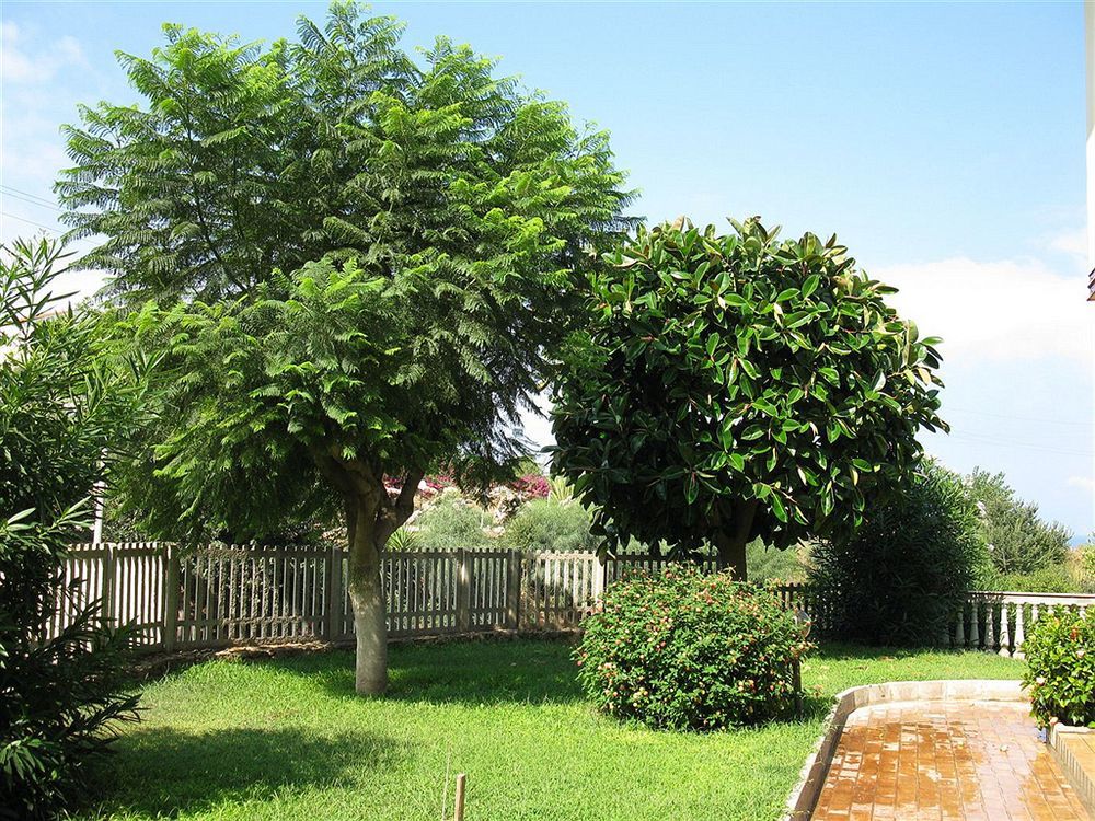 My Villa Eden Torre Ruffa ภายนอก รูปภาพ